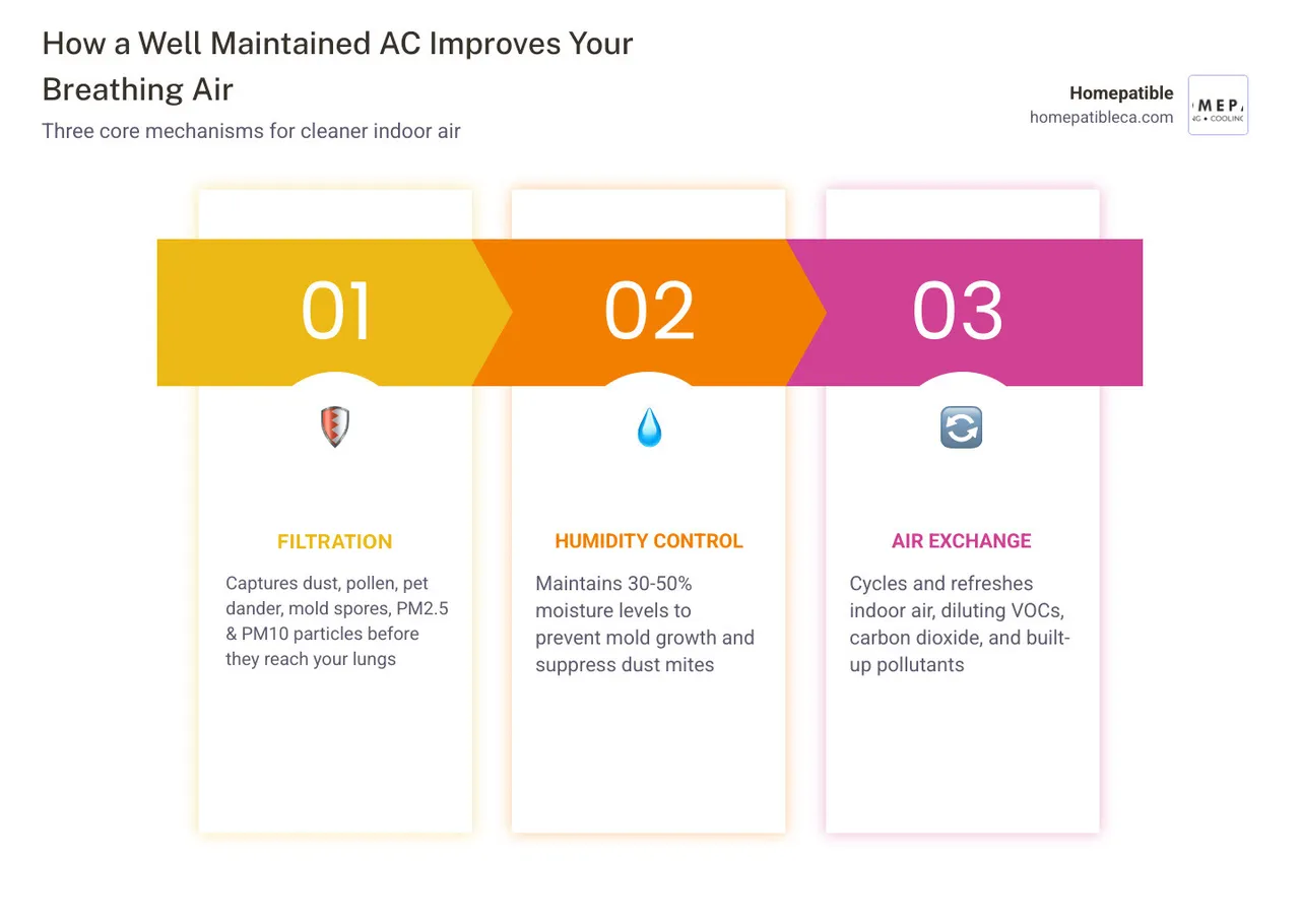 Infographic showing how AC maintenance steps improve breathing air quality through filtration, humidity control, and air Infographic showing how AC maintenance steps improve breathing air quality through filtration, humidity control, and air