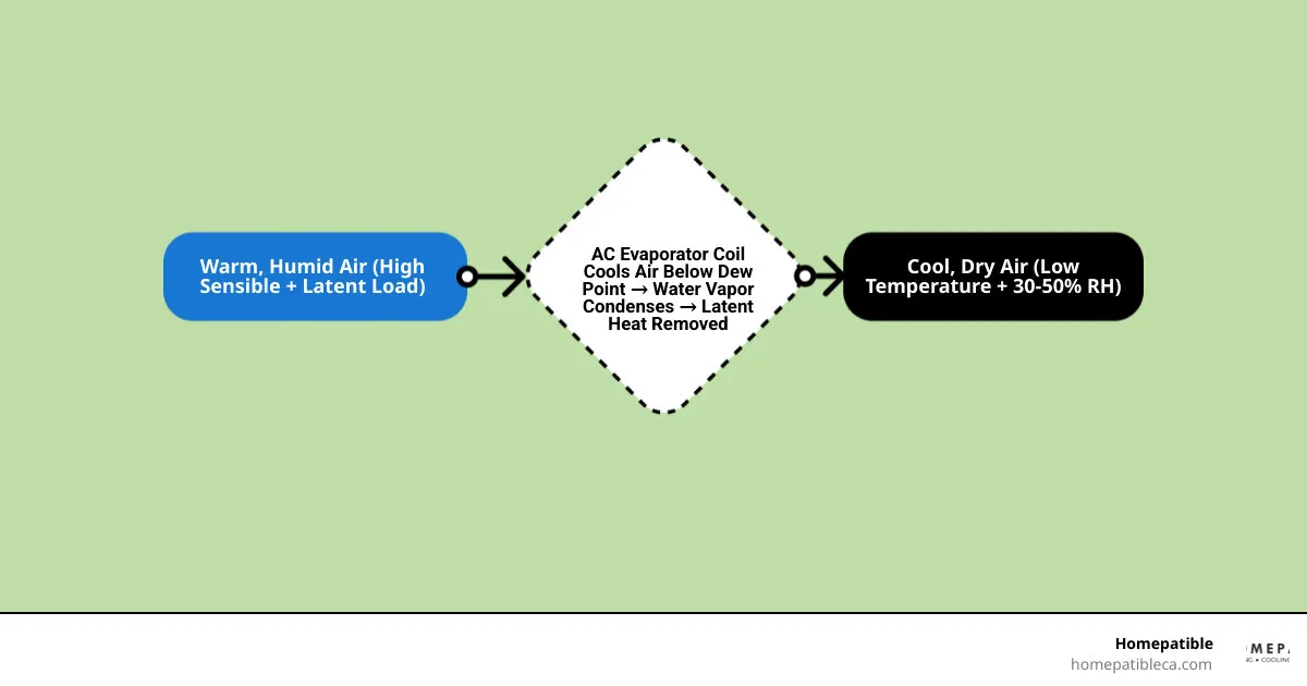 infographic showing how AC sizing affects both temperature and humidity removal in a home - how proper ac sizing controls infographic showing how AC sizing affects both temperature and humidity removal in a home - how proper ac sizing controls