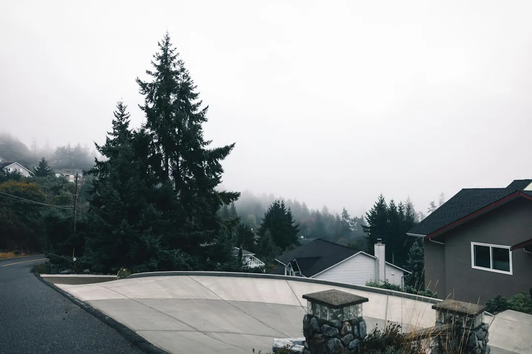 ocean mist rolling into a residential neighborhood near the coast - how salt air and coastal moisture stress your ac ocean mist rolling into a residential neighborhood near the coast - how salt air and coastal moisture stress your ac