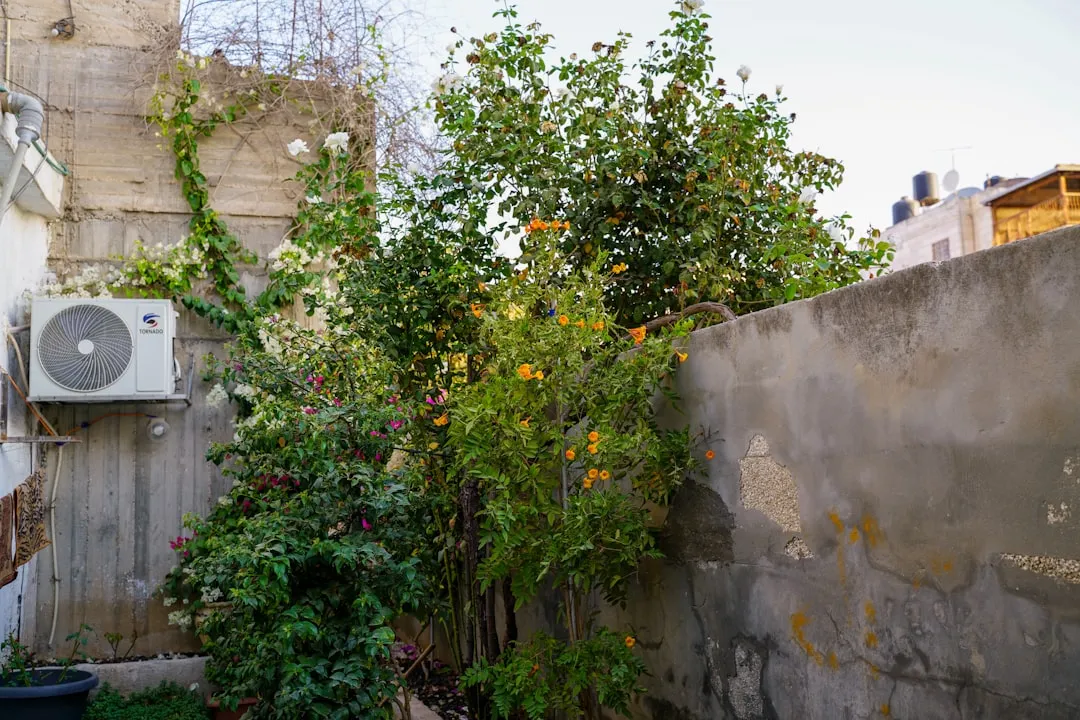 Stop the Sizzle with These Spring AC Maintenance Tips